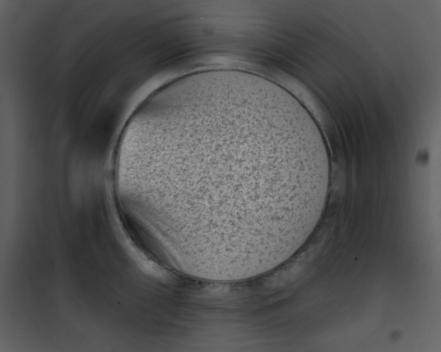 X0000101141098200807181249