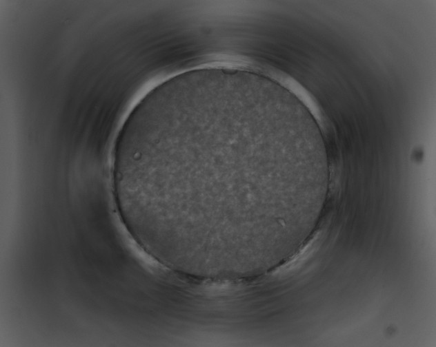 X0000101141099200807181249