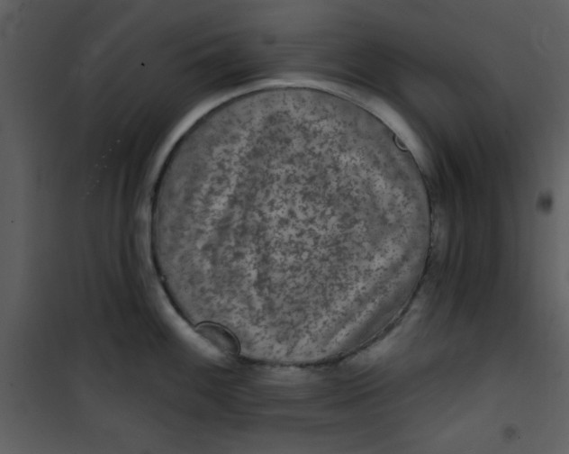 X0000101141100200807181249