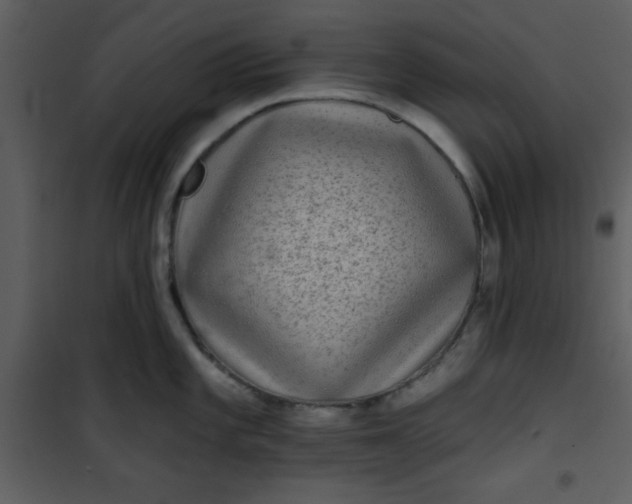 X0000101141101200807181249