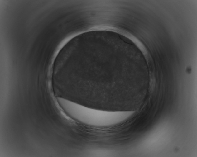 X0000101141102200807181249