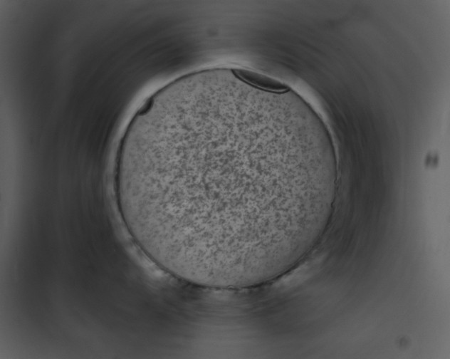 X0000101141104200807181249