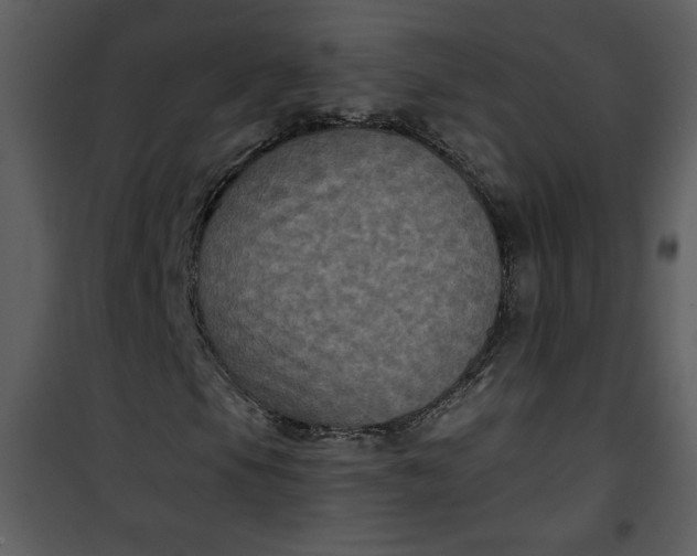 X0000101141105200807181248