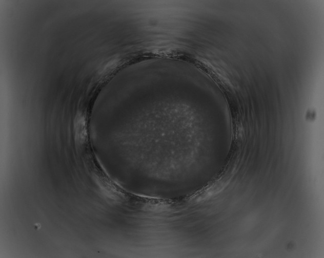 X0000101141106200807181248