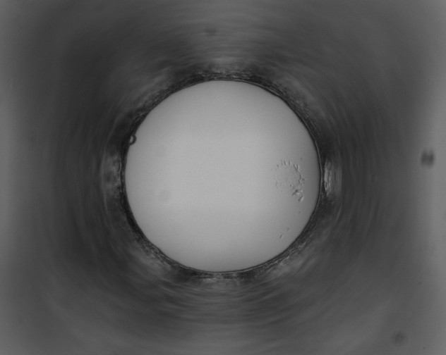 X0000101141107200807181248