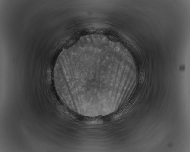 X0000101141108200807181248