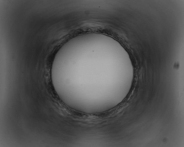 X0000101141109200807181248