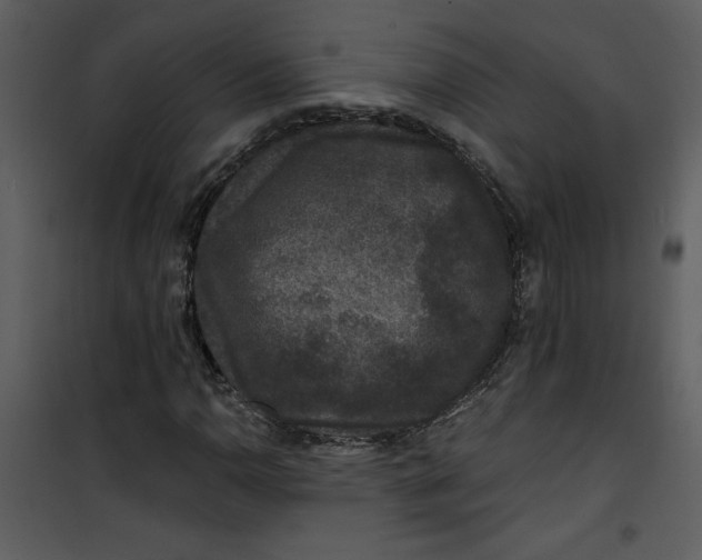 X0000101141110200807181248