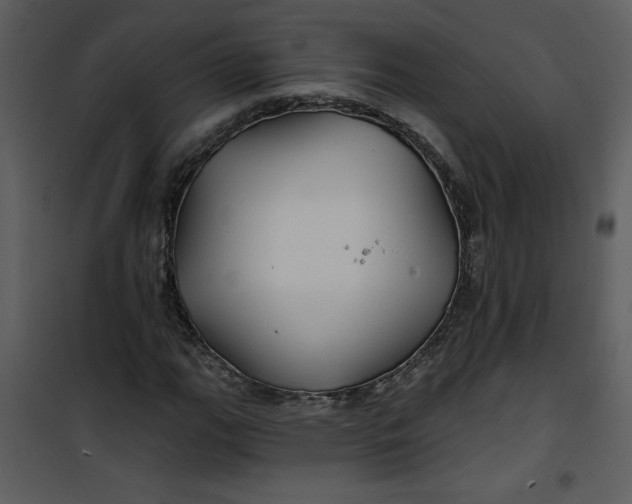 X0000101141111200807181248