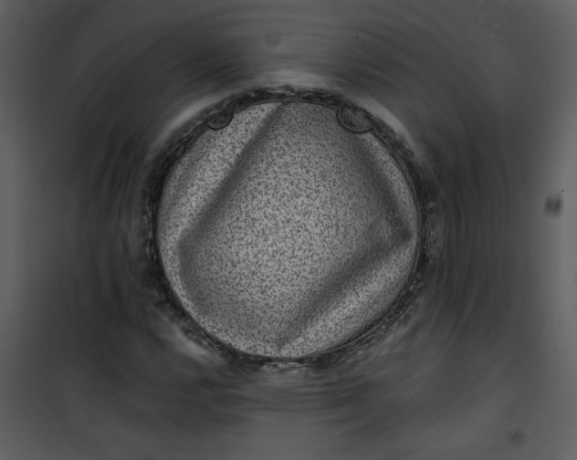 X0000101141112200807181248