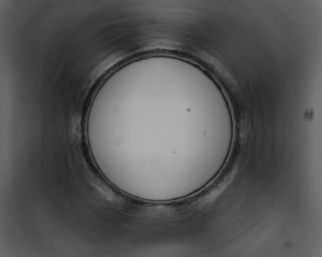 X0000101141113200807181248