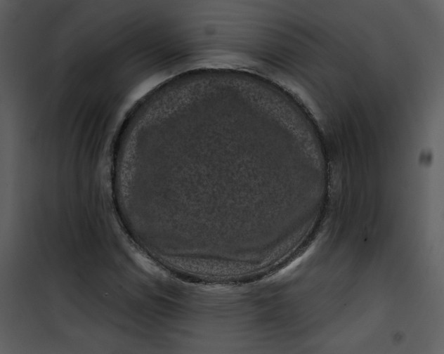 X0000101141114200807181248