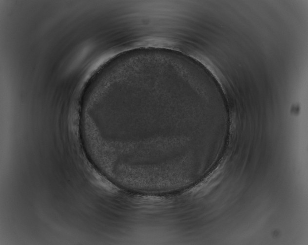 X0000101141115200807181248