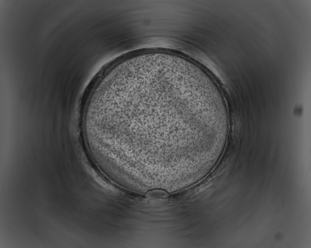 X0000101141116200807181248