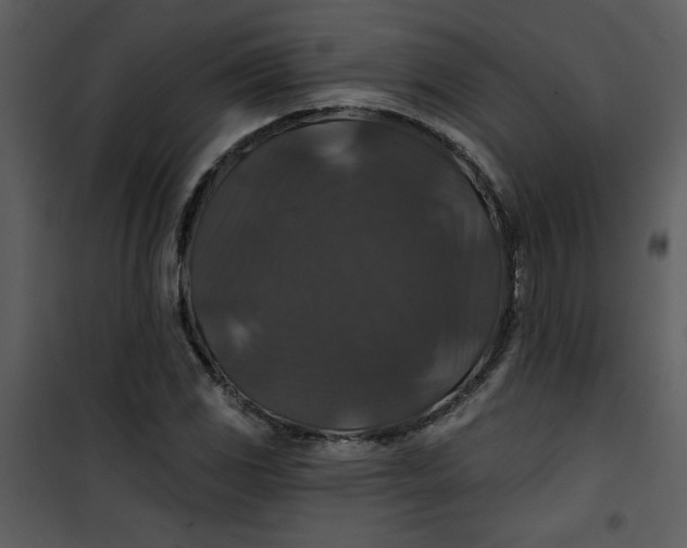 X0000101141117200807181248