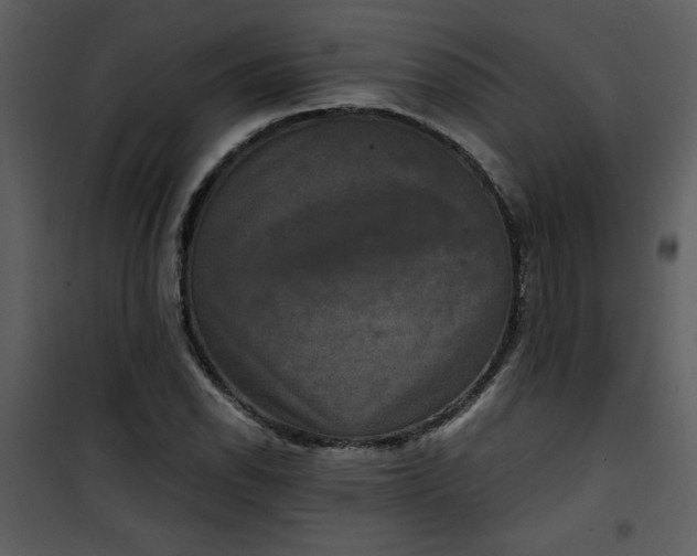 X0000101141118200807181248