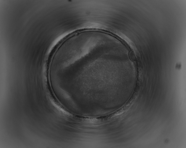 X0000101141120200807181248