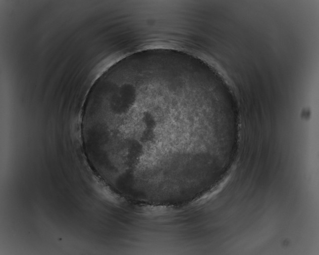 X0000101141121200807181248