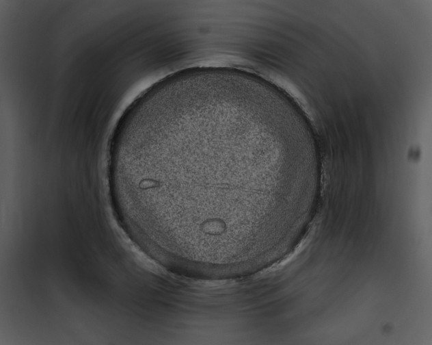 X0000101141122200807181248