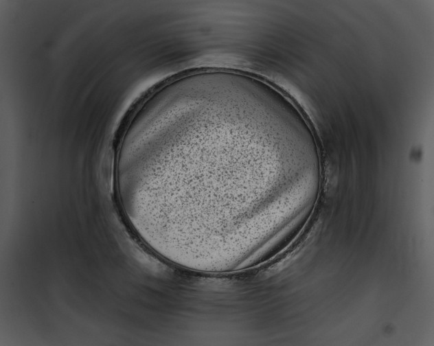 X0000101141123200807181248