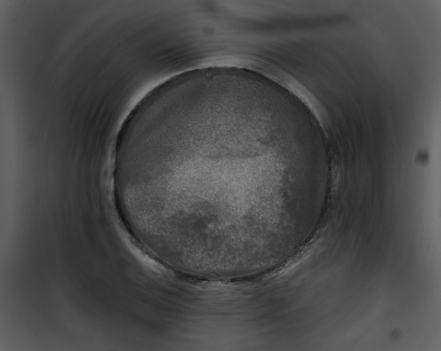 X0000101141124200807181248