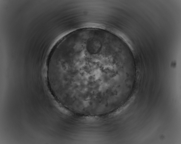 X0000101141125200807181248