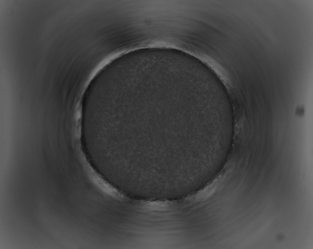 X0000101141126200807181249