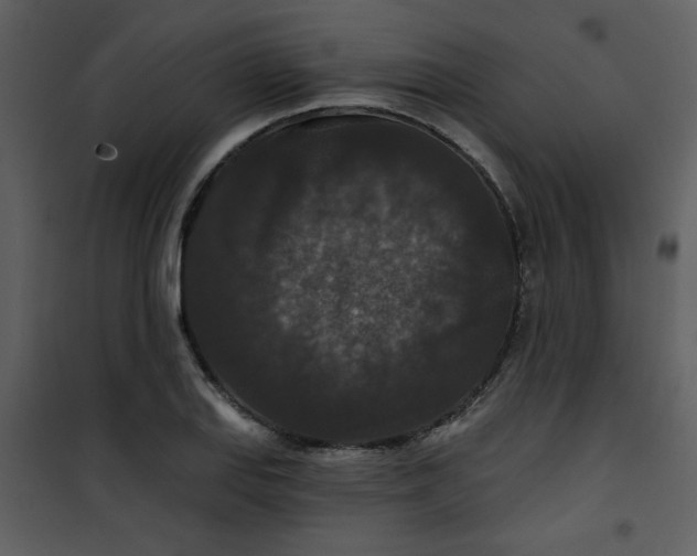 X0000101141127200807181249