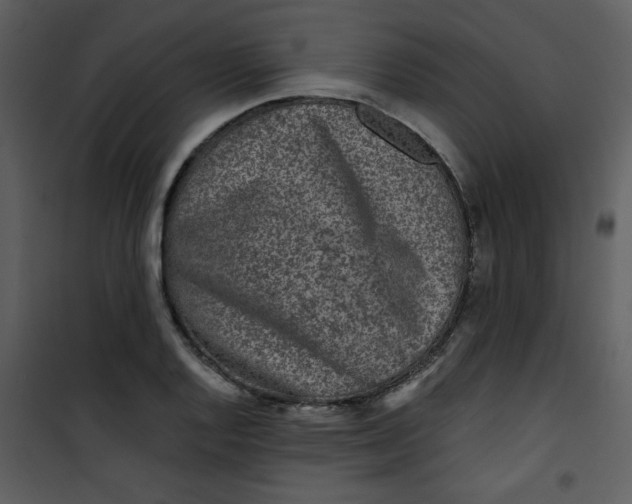 X0000101141128200807181249