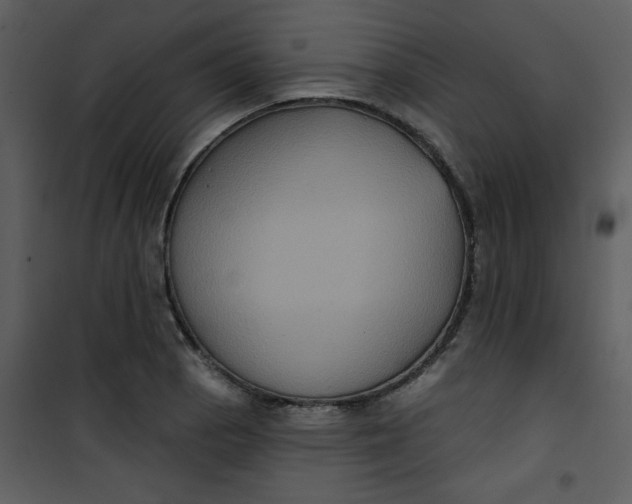 X0000101141129200807181249