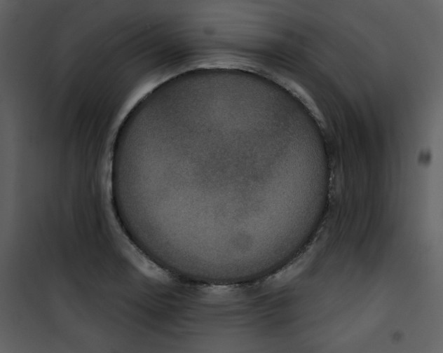 X0000101141130200807181249