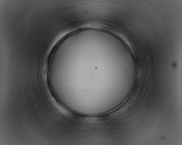 X0000101141131200807181249