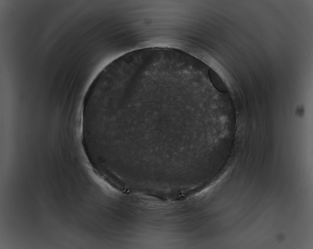 X0000101141132200807181249