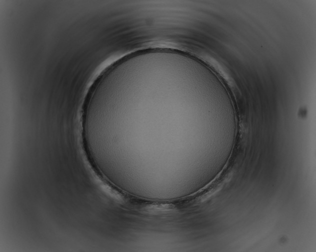 X0000101141133200807181249