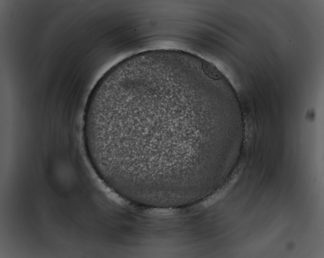 X0000101141134200807181249