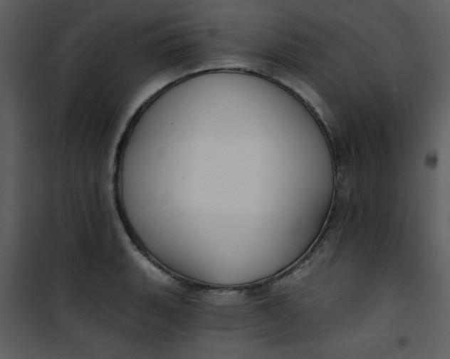 X0000101141135200807181249