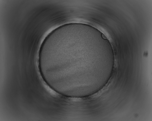 X0000101141136200807181249