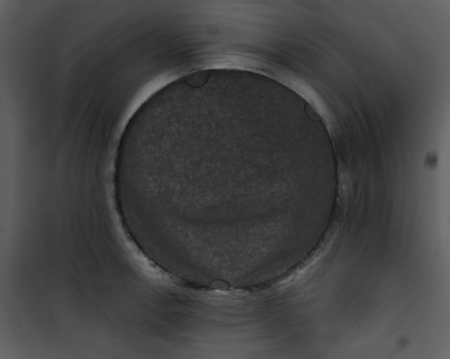 X0000101141138200807181249