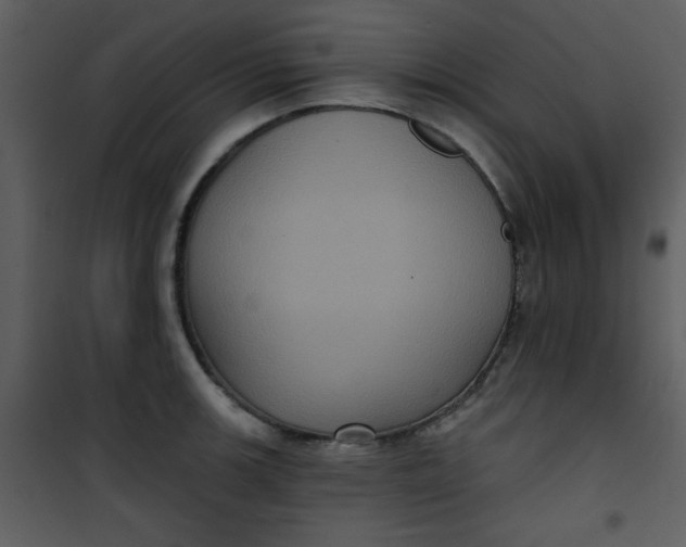 X0000101141139200807181249