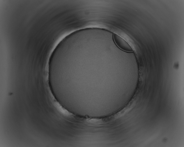 X0000101141140200807181249