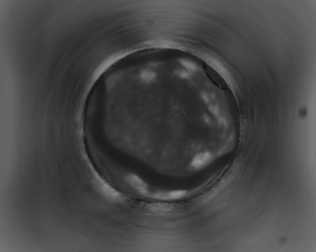 X0000101141141200807181249