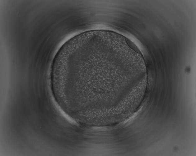 X0000101141142200807181249