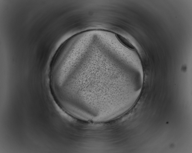 X0000101141143200807181249