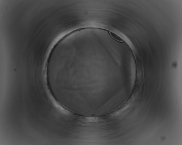 X0000101141144200807181249