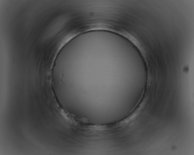 X0000101141145200807181249