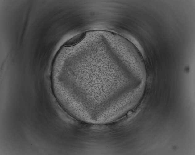 X0000101141146200807181249