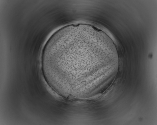 X0000101141148200807181249