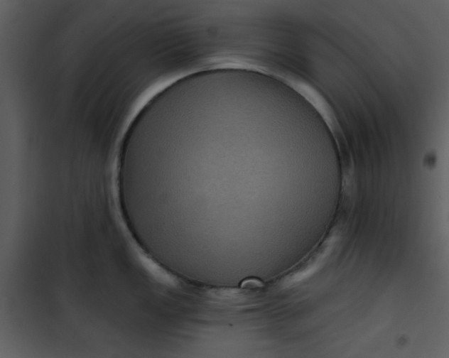 X0000101141149200807181249