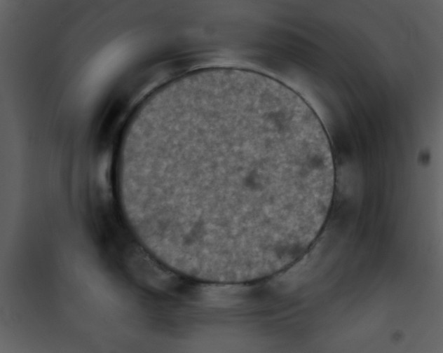 X0000101141150200807181249