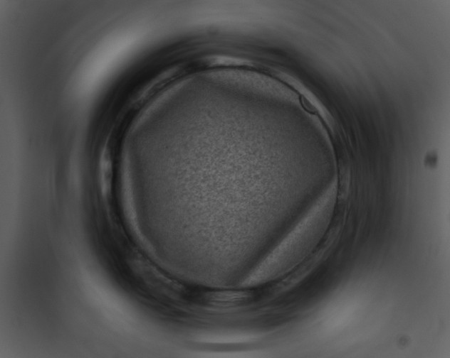 X0000101141151200807181249